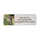 Search for safari return address labels Wild animal