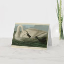Search for trumpet cards Bird