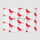 Search for cardinal tissue paper Songbird
