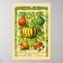 Search for squash posters Botanical