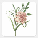 Search for red carnation stickers Garden