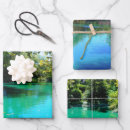 Search for high quality wrapping paper Triad