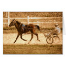 Search for standardbred horse Harness