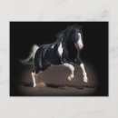 Search for viii postcards Photography