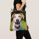 Search for images bags Nature