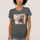 Search for british shorthair tshirts Kitten