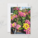 Search for flowery cards Flowers