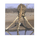 Search for giraffe notepads Nature