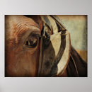 Search for equines posters Angelandspot