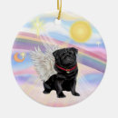 Search for pug rainbow bridge Pets