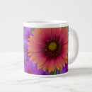 Search for darrell mugs Macro