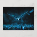 Search for fantasy owl postcards Night