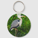 Search for bird photos key rings Wildlife