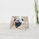 Search for woof cards Animal