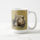 Search for grizzly bears mugs Nature