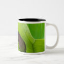 Search for joann mugs Joanne wells