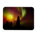 Search for provincial magnets Jaynes gallery