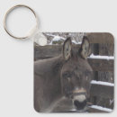 Search for mule accessories Equine