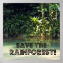 Search for rainforest posters Tropical