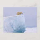Search for maritimus postcards North america