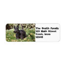 Search for scotty dog return address labels Cute