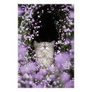 Search for line drawings flowers art Elegant