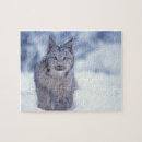Search for lynx puzzles Snow