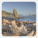 Search for olympic national park stickers Beach