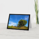 Search for citrus fruit cards Orange tree