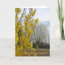 Search for pear tree cards Flowers