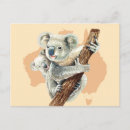 Search for koala baby postcards Cute