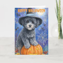 Search for dogs halloween cards Night