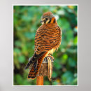 Search for perched art Bird