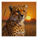 Search for cheetah spots posters Wildlife