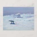 Search for 1899 postcards Ice