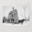 Search for loggers postcards Logging