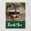 Search for bandit cards Trash panda