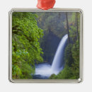 Search for eagle christmas tree decorations Canyon