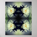 Search for mirror mirror art Flower