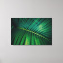 Search for palm leaf canvas prints Exotic