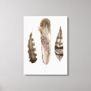 Search for feathers canvas prints Bird