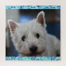 Search for westie puzzles Cute
