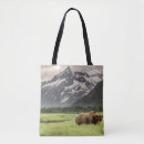 Search for grizzly bear bags Nature
