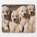 Search for sweet dog mousepads Puppies