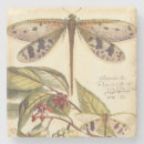 Search for dragonfly coasters Flowers