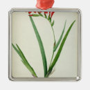 Search for cardinalis Botanical