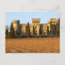 Search for viticulture postcards Vineyard