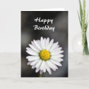 Search for yellow daisy birthday cards Flowers