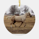 Search for palomino horse christmas tree decorations Horses