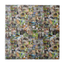 Search for dog breeds tiles Labrador